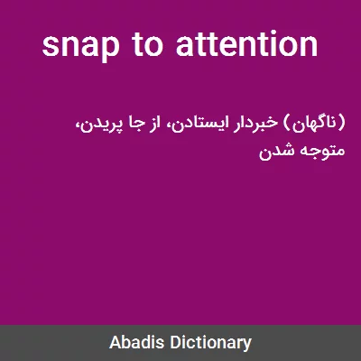 معنی snap to attention